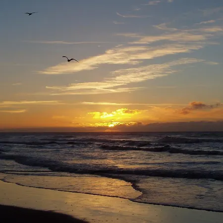Fort Of Sand Zandvoort